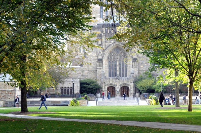 Rejected From an Extracurricular at Yale? Join the Club. - The